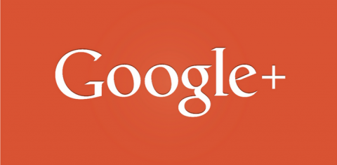 Palmonutka na Google+ - logo google+